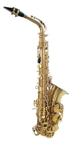Saxofone Alto Spring Sa-500sp  C/estojo