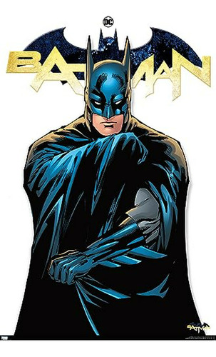 Póster De Pared De La Serie Batman De Dc Comics