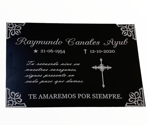 Placa Grabada Laser 20x15 Cm Negra Con Plateado Premio Urna