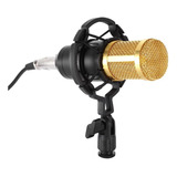 Micrófono De Condensador Unidireccional Andowl Bm-800