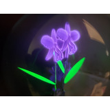 Lampada Neon Orquídea 220v 3w Decoração Flor 