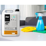 Detergente Concentrado P/ Limpeza Pesada Wap Limpa Pro 5l