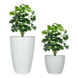 2 Vasos Para Plantas Grande Cone Grafiato Luxo Escovado