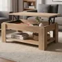 Mesa Ratona Estante Living Elevable Extensible Multifunción Color Atakama | Mismo precio en cuotas
