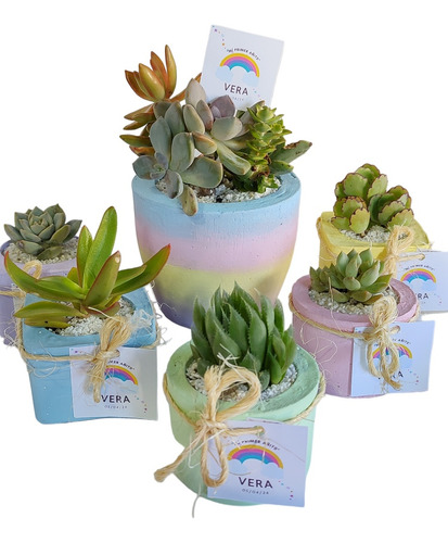 Suculentas Y Cactus Souvenirs Personalizados