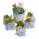 Suculentas Y Cactus Souvenirs Personalizados