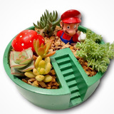 Minijardin Super Mario 