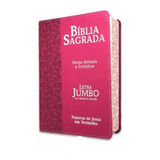 Bíblia Sagrada Letra Jumbo Capa Pu Luxo Ramos Pink