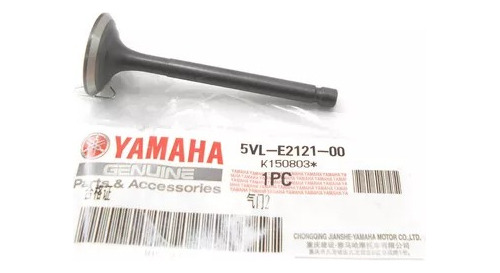 Valvula Escape Yamaha Ybr 125 Raptor 125 Xtz 125 Original