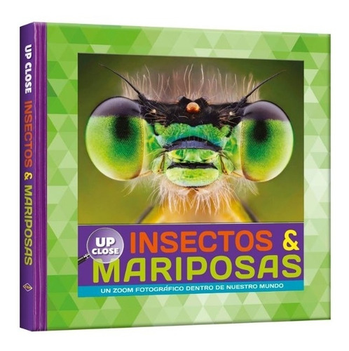 Insectos & Mariposas