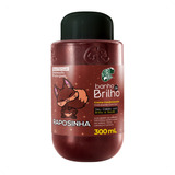 Banho De Brilho Raposinha 300ml Kamaleão Color Ruivo