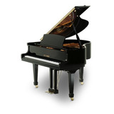 Piano 1/4 De Cauda Fritz Dobbert Modelo Cs150 Novo