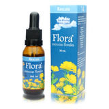 Esencias Florales Labfarve Rescate X 30ml