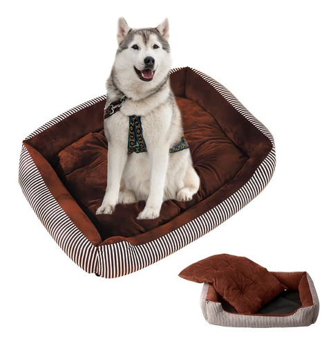 Cama Perros Grande Gatos Colchón Mascota Con Funda Extraíble