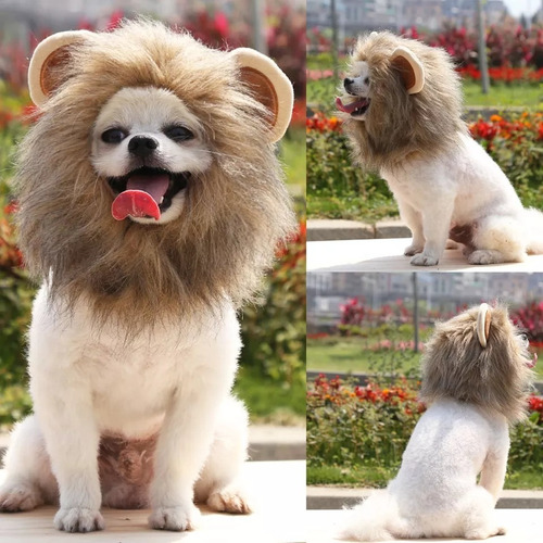 Disfraz Gorro León Para Gato Perro Gorro Peluca Mascota - Cs