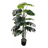 Bonita Monstera Tropical Artificial 1.1m + Maceta De Regalo 