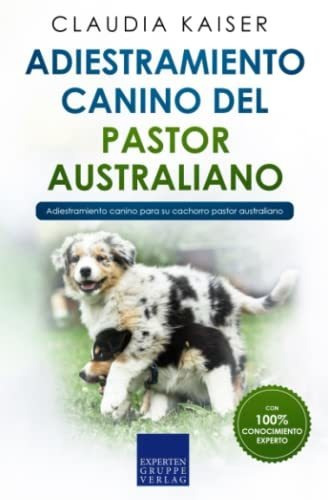 Adiestramiento Canino Del Pastor Australiano: Adiestramiento