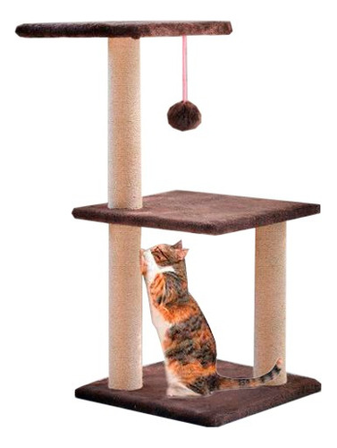 Gimnasio Rascador Para Gatos