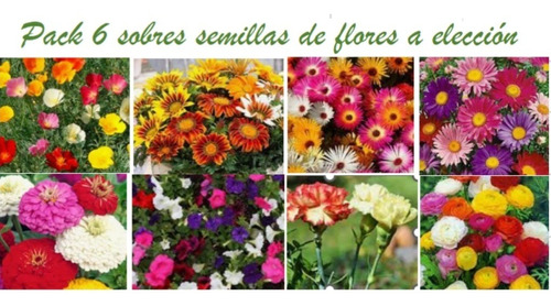 Semillas De Flores, Variedades, Pack 6 Sobres