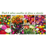 Semillas De Flores, Variedades, Pack 6 Sobres