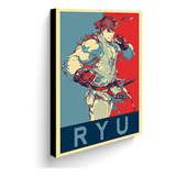 Cuadro Decorativo 60x40 Cms Ryu