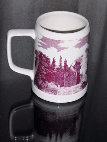 Vaso De Chopp Con Paisaje Escocia By Hartford C03