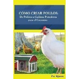 Como Criar Pollos : : De Pollitos A Gallinas Ponedoras Pa...