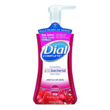 Dial 03016 - Espuma Antibacteriana Para Lavado De Manos, Bay