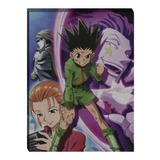 Cuadro Hunter X Hunter : Gon  - Gw041