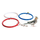 Kit 6 Argolas Poleiro Brinquedo Calopsita Agapornis Aves