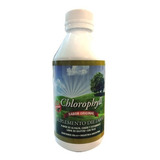 Clorofila Sabor Original Chlorophyll 250ml Original Green Dw