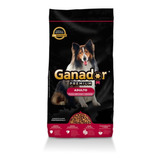 Alimento Ganador Premium Perro Adulto Raza Grande/med 20kg