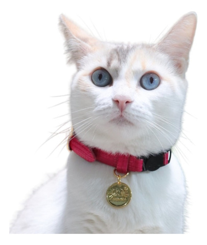 Collares Antiahogo Para Gatos En Cuero Marca Meow Design