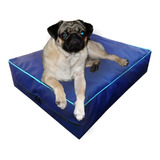 Colchon Liso Antidesgarro 50x30x10 Cm Cama Para Perros