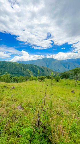Venta De Lotes Urbanizados En Liborina Antioquia - Imagen 4