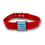 Collar Con Nombre Para Perro Talle 6 (43cm-53cm) + Chapita 