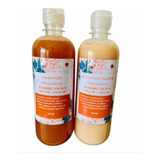 Shampoo De Jengibre & Palta Orgánico 100% Natural
