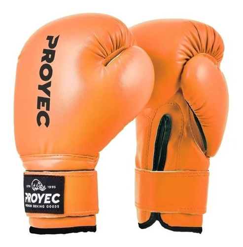 Guantes Boxeo Proyec Box Infantil Niño Importado Cke