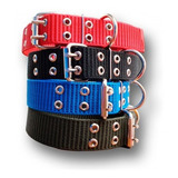 Collar Super Reforzados   Dogo, Pit Bull, Rot, Etc