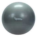 Pelota De Pilates Biosmedic Profesional Color Gris Con Inflador - Unidad