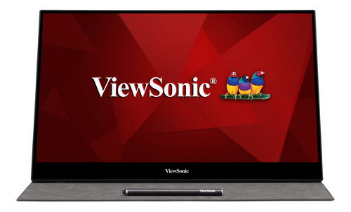 Monitor Gamer Viewsonic Td Series Td1655 Lcd Tft 16  Plateado 100v/240v