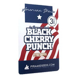 Bkack Cherry Punchy Usa 3 + 1 Semillas Pyramid Seeds