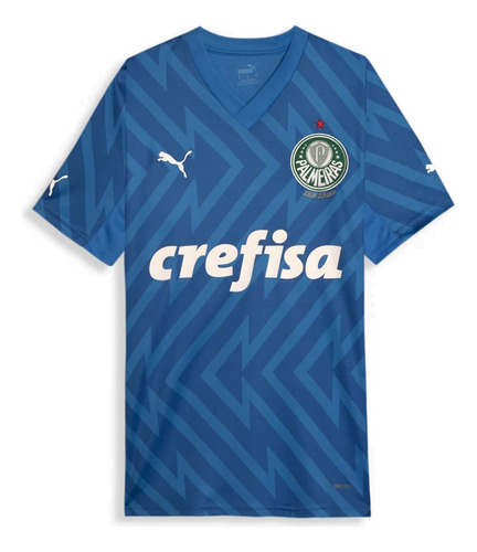 Camisa Palmeiras Goleiro 2024 2025 Azul Puma Gk Lançamento 