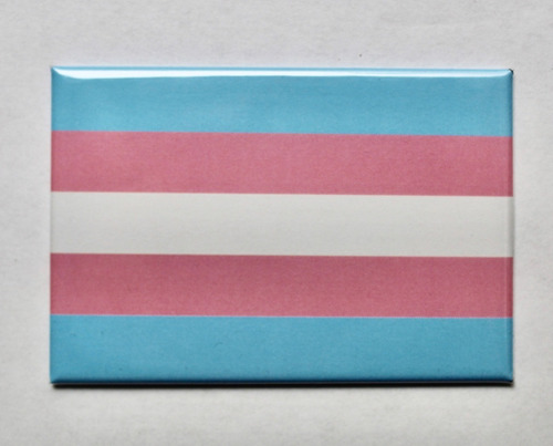 Imán Decorativo  Bandera Transexual Lgbt Pride Refri