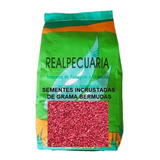 Sementes De Grama Bermudas (embalagem De 1 Kg)