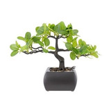 Arbol Bonsai Artificial Home Collection