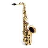 Saxofone Tenor Vogga Vsts701n Laqueado Mostruário 