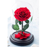 Rosa Eterna Premium ( Color A Elegir ) Forever Bloom