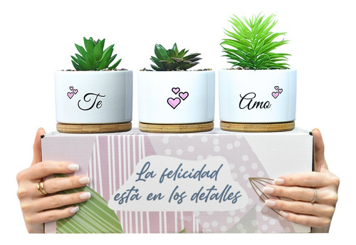 Regalo Amor Novios Cumpleaños 3 Macetas Cerámica Con Plantas