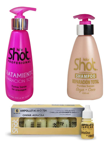 Tratamiento + Shampoo + Ampolletas Cabello Maltratado Seco